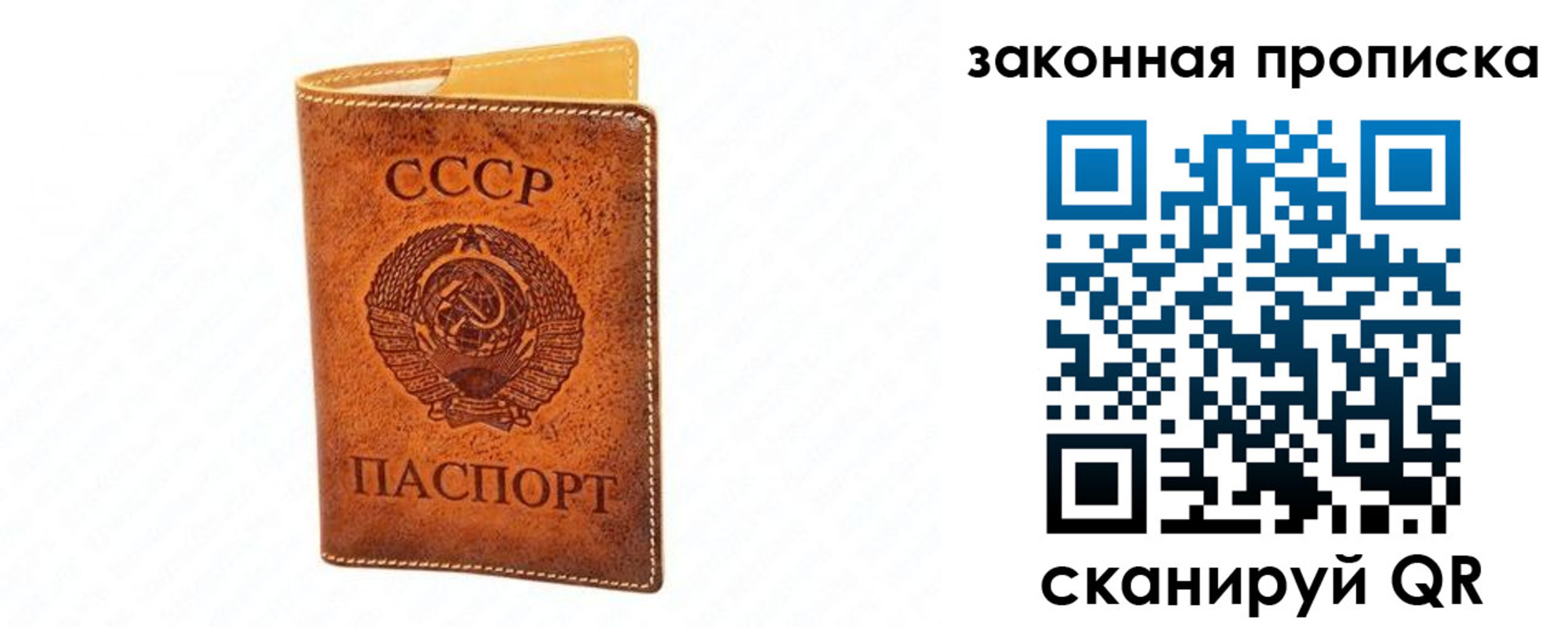 прописка в Сальске